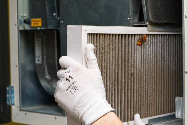 Best Air Duct Cleaning Near Me  in Jonesville, LA