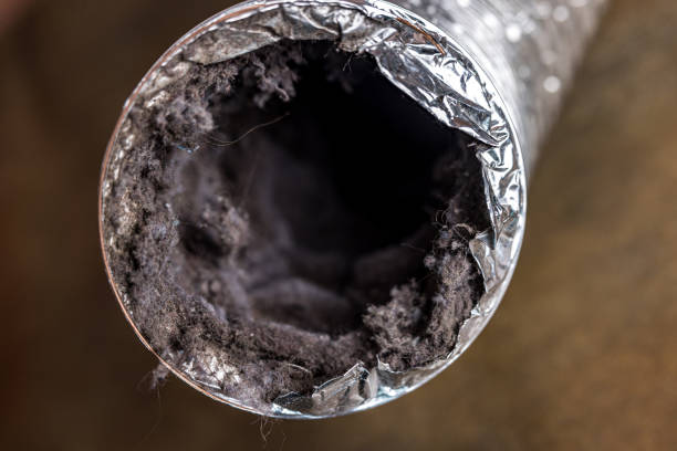 Best Duct Cleaning Specialists  in Jonesville, LA
